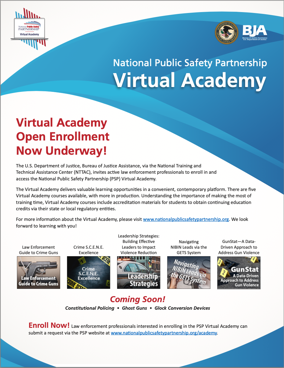 Virtual Academy Cover